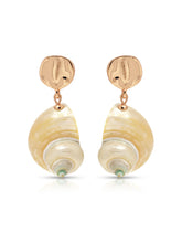 Sunken Treasure Shell Earrings