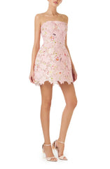 Printed Lace Mini Dress